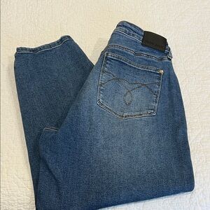 Judy Blue Mid Wash Straight Leg Jeans